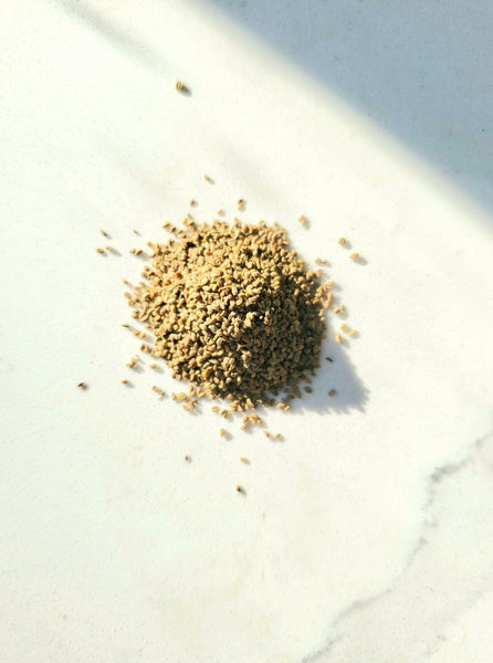 Distinguished Spice Kit